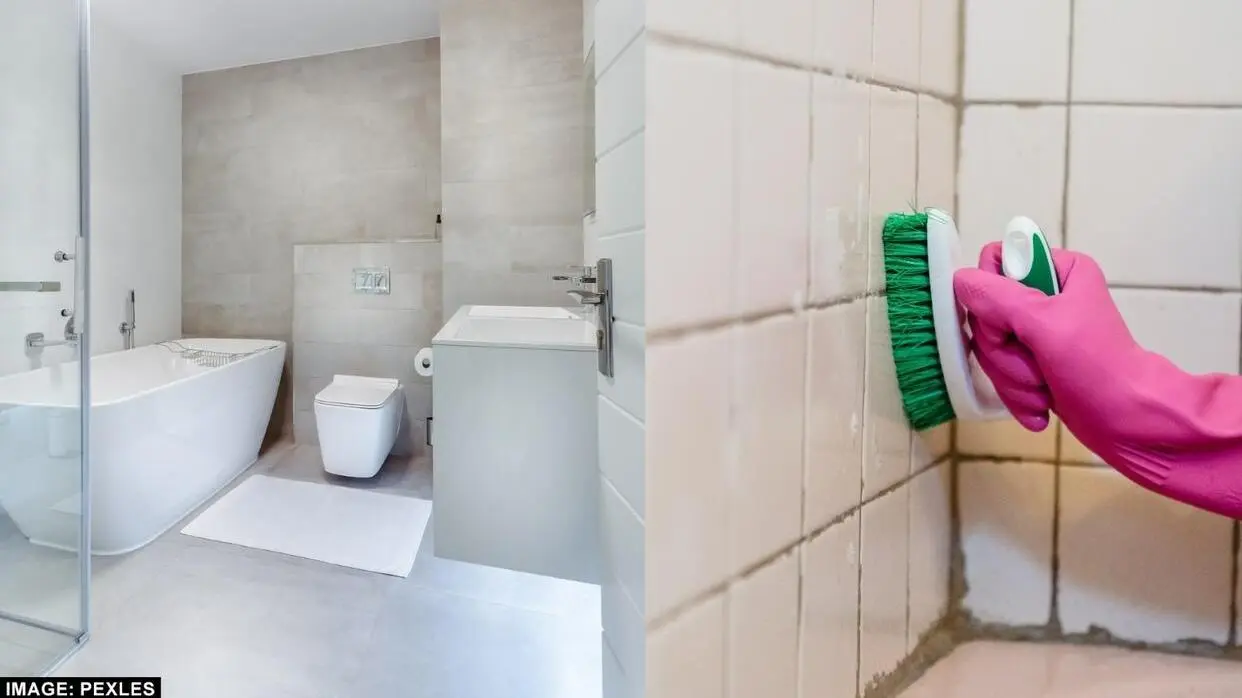बाथरूम की टाइल्स को साफ करने के टिप्स (फोटो : Pexels)