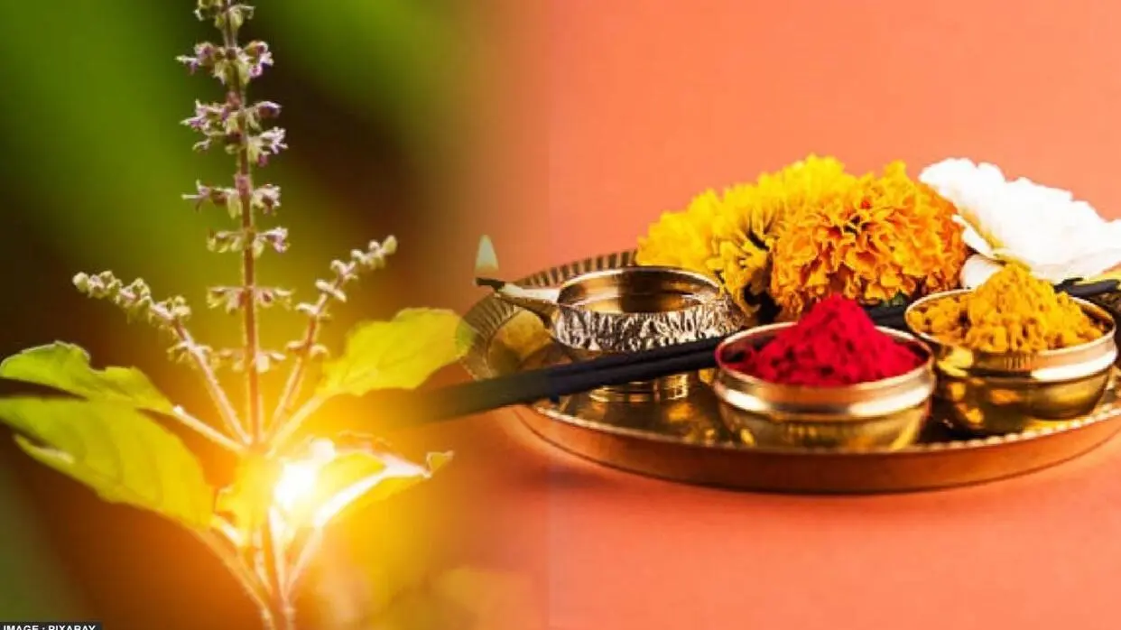 Kaun Se Bhagwan Ko Nahi Chadhai Jati Tulsi