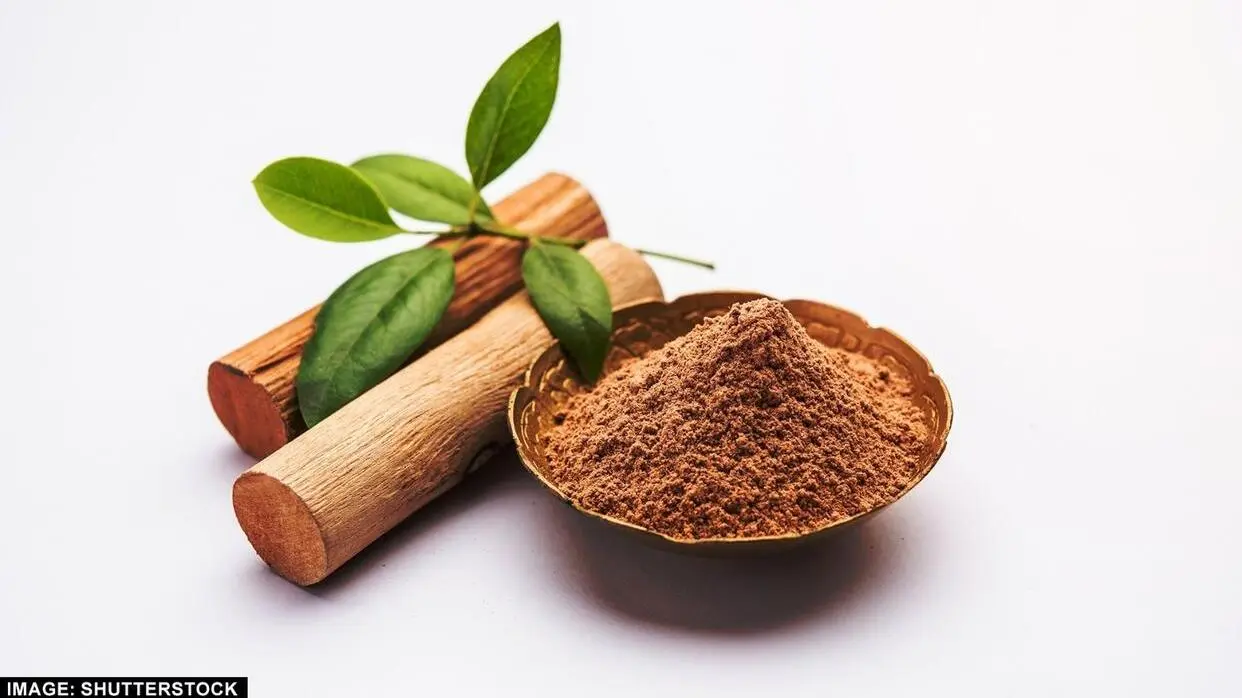 स्किन के लिए चंदन के फायदे (फोटो : Shuttterstock)