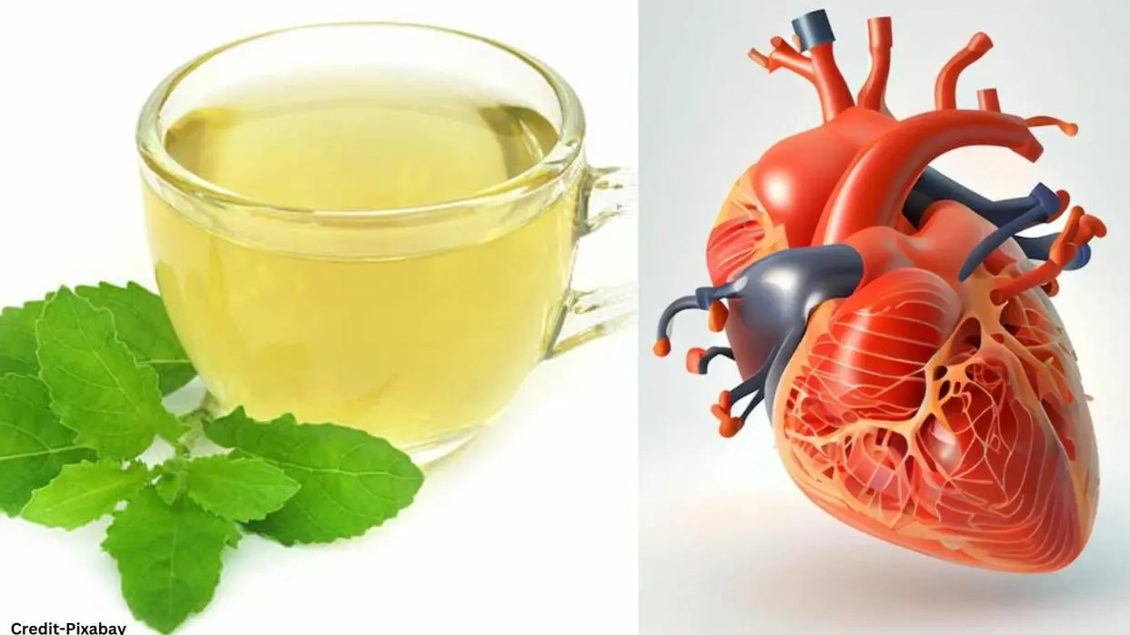 Tulsi Chaay Ke Fayde