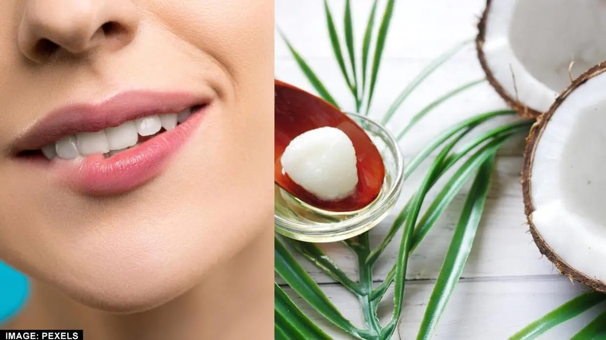नारियल का तेल करेगा होंठों की देखभाल (फोटो : Pexels)
