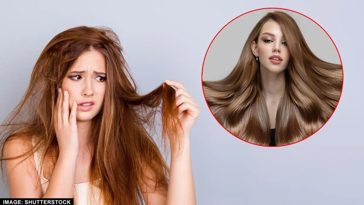 रूखे बेजान बालों के लिए टिप्स (फोटो : Pexels)