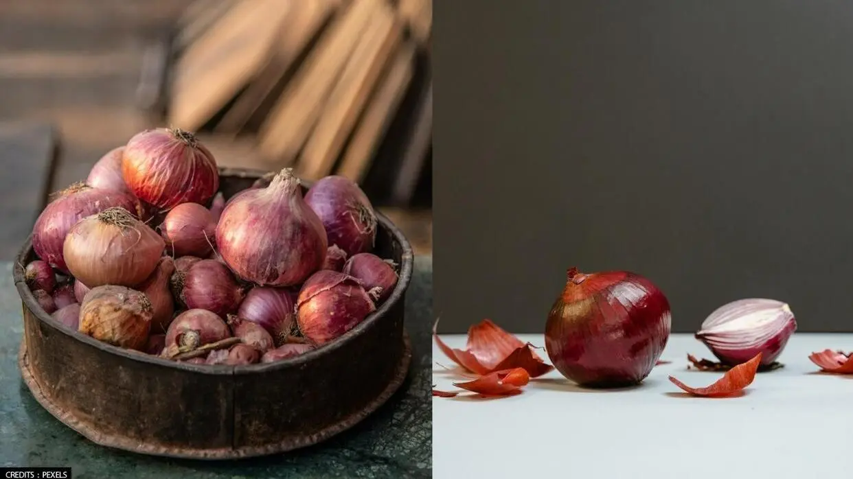 Onion Peels: बड़े काम की चीज है प्याज के छिलके, कचरा समझकर न फेंकें; फायदे कर देंगे हैरान प्याज के छिलकों के फायदे (फोटो : Pexels)