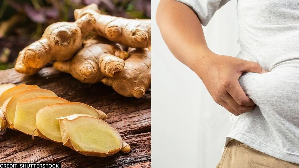 Ginger
image- shutterstock