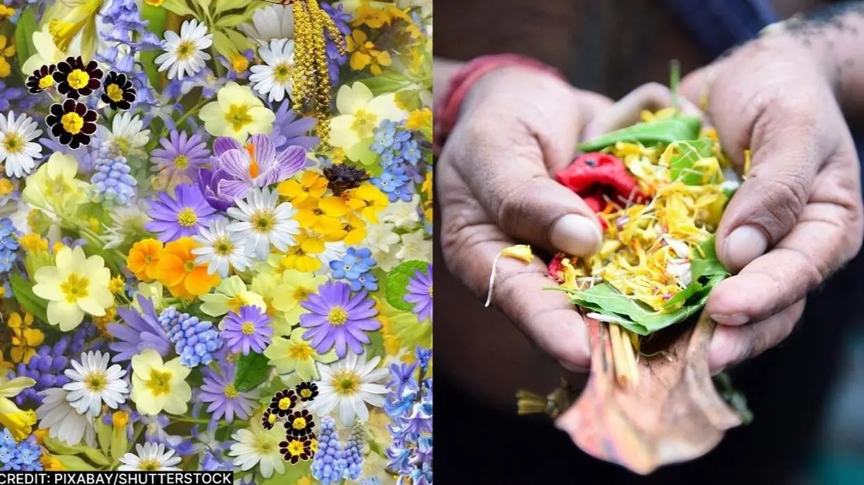 Pitru Paksha Me Kin Phoolo Se Kare Tarpan
image- shutterstock