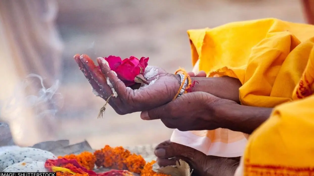 Pitru Paksha Me Kis Phool Se Kare Tarpan
iamge- shutterstock