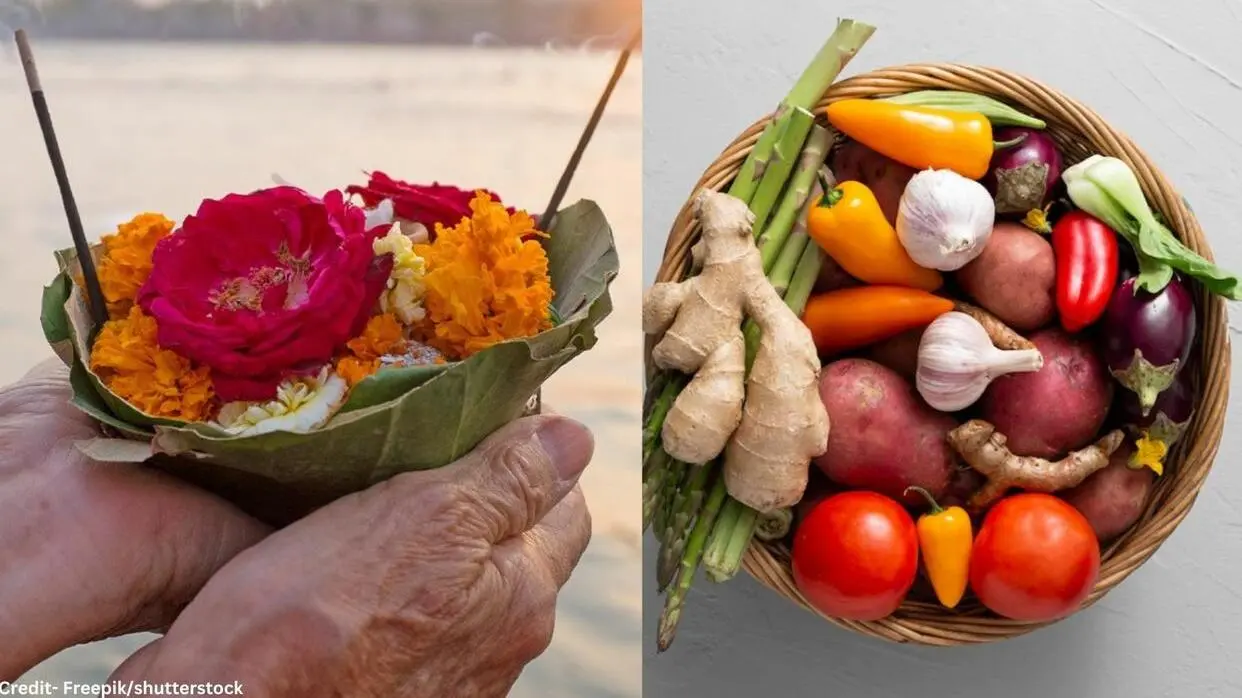 Shradh Paksha Me Kya Nahi Khana Chahiye
image- shutterstock/freepik