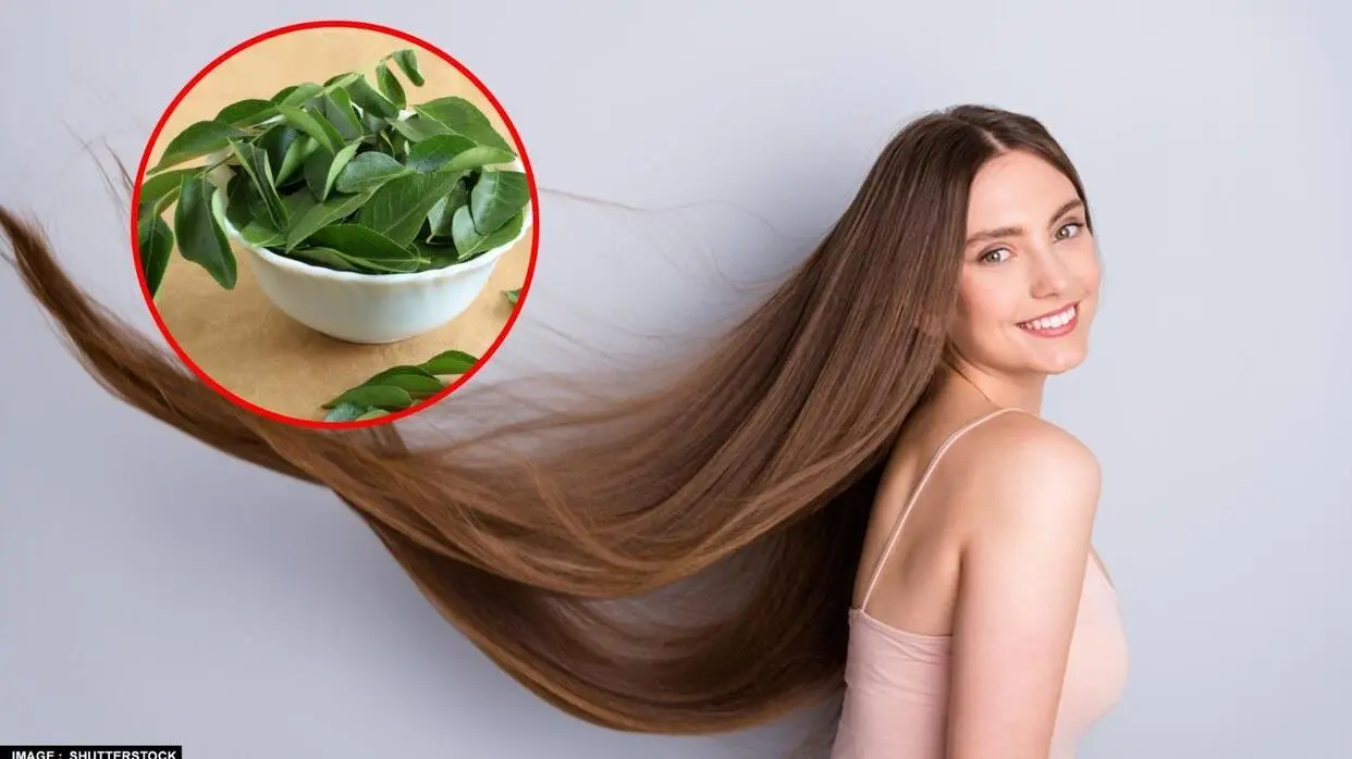बालों के लिए करी पत्ते का इस्तेमाल (फोटो : Shutterstock)