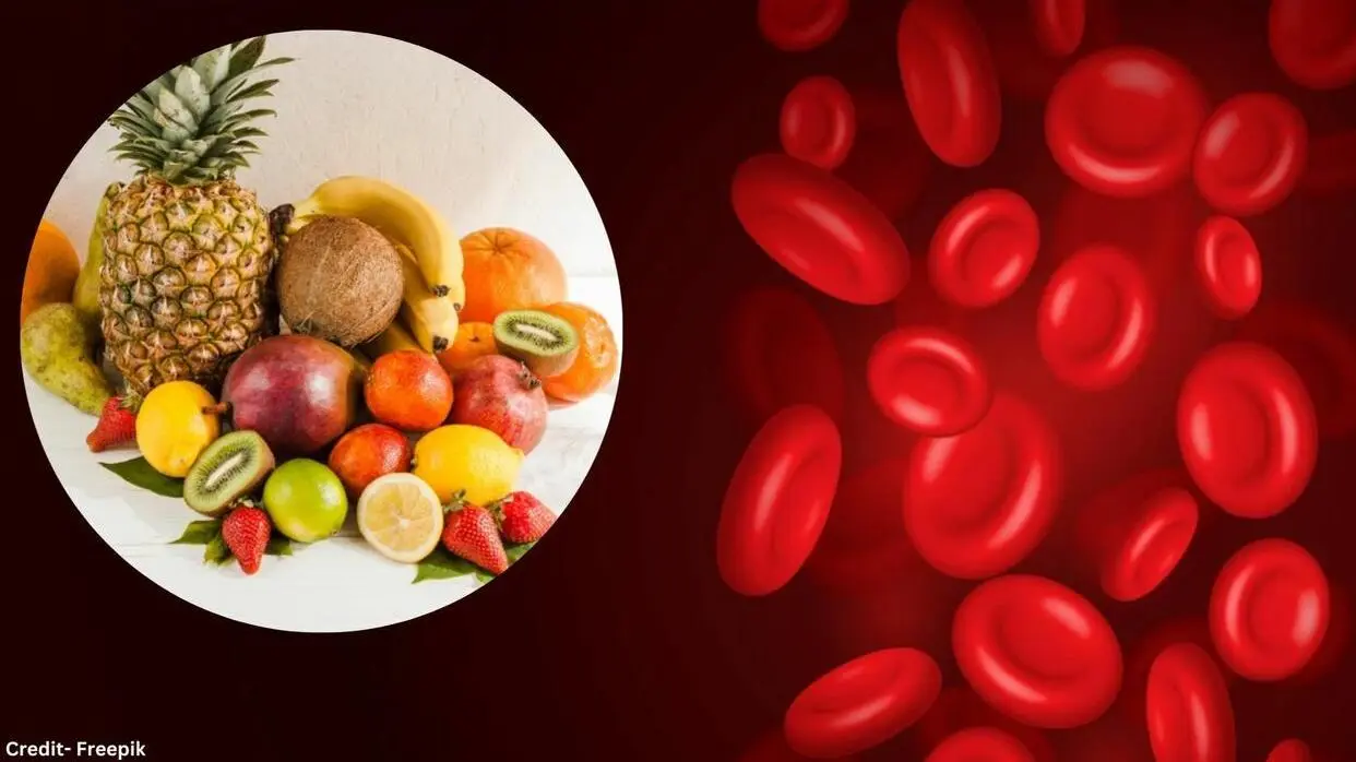 Platelets For Dengue Fever
image- freepik