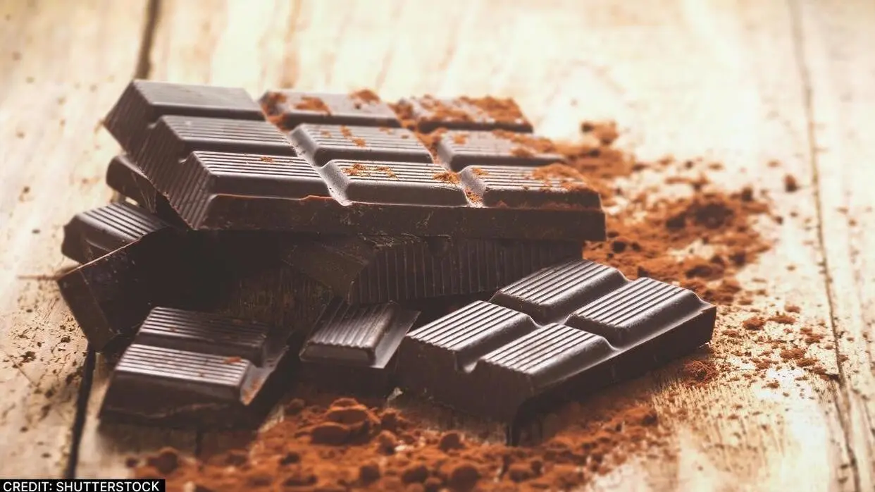 डार्क चॉकलेट खाने के फायदे (फोटो : Shutterstock)