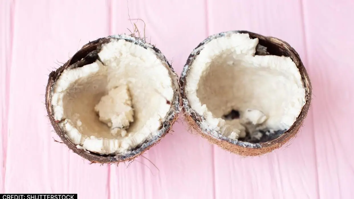 खराब नारियल का क्या है संकेत (फोटो : Shutterstock)