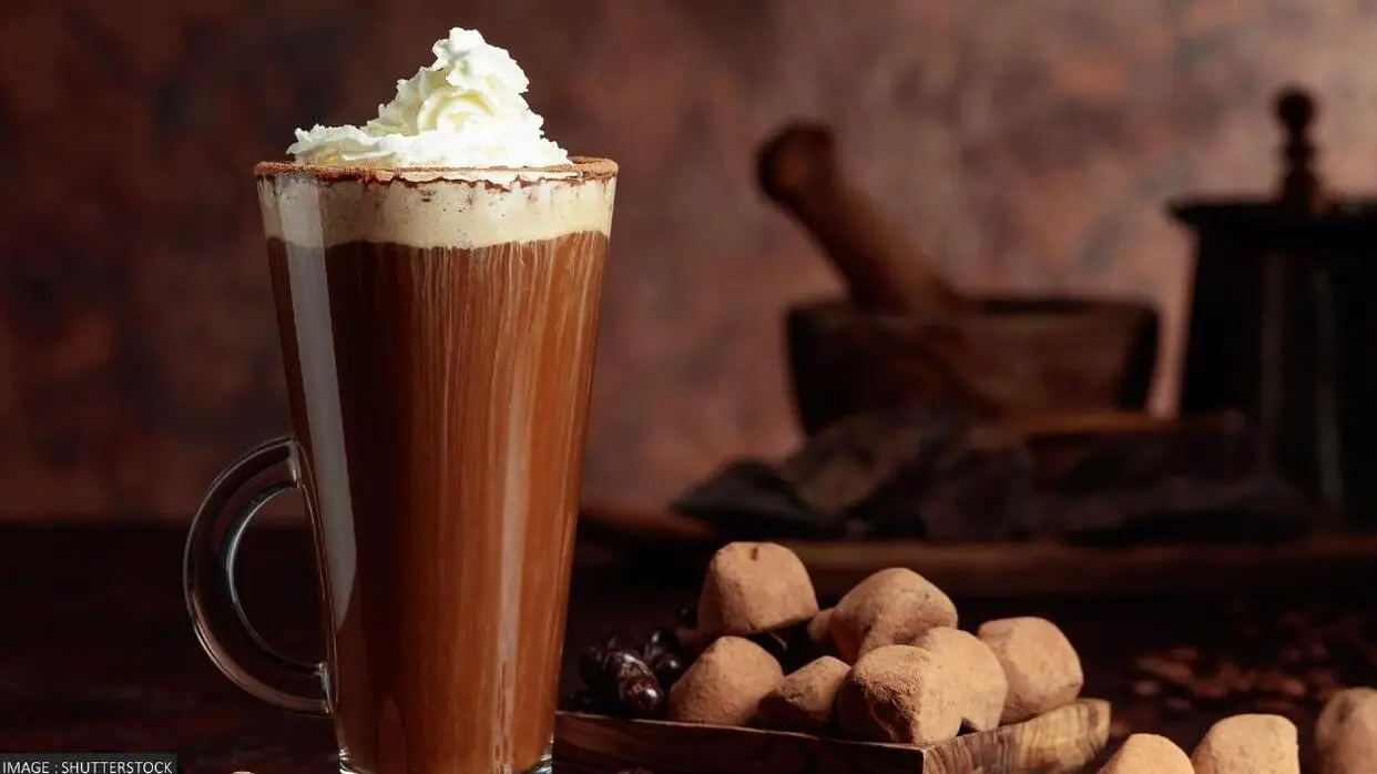 हॉट चॉकलेट बनाने की आसान रेसिपी (फोटो : Shutterstock)