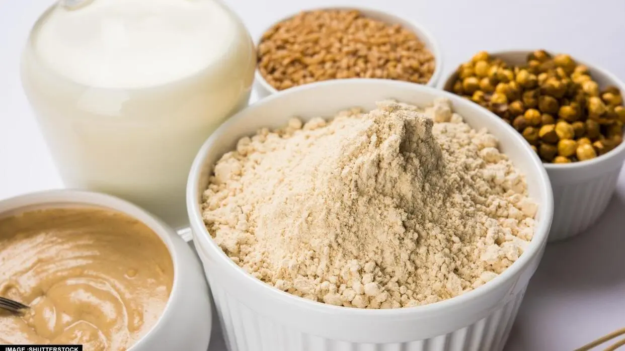 चने का सत्तू (फोटो : Shutterstock)