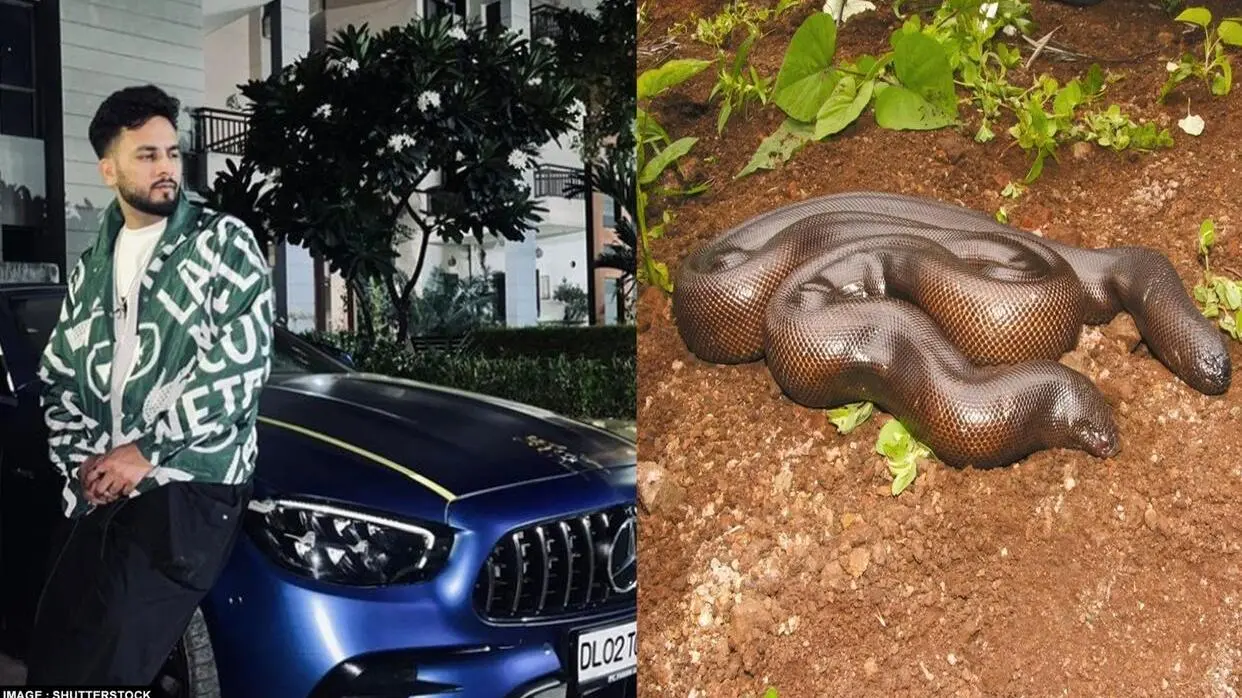 Elvish Yadav Rave Party in Noida