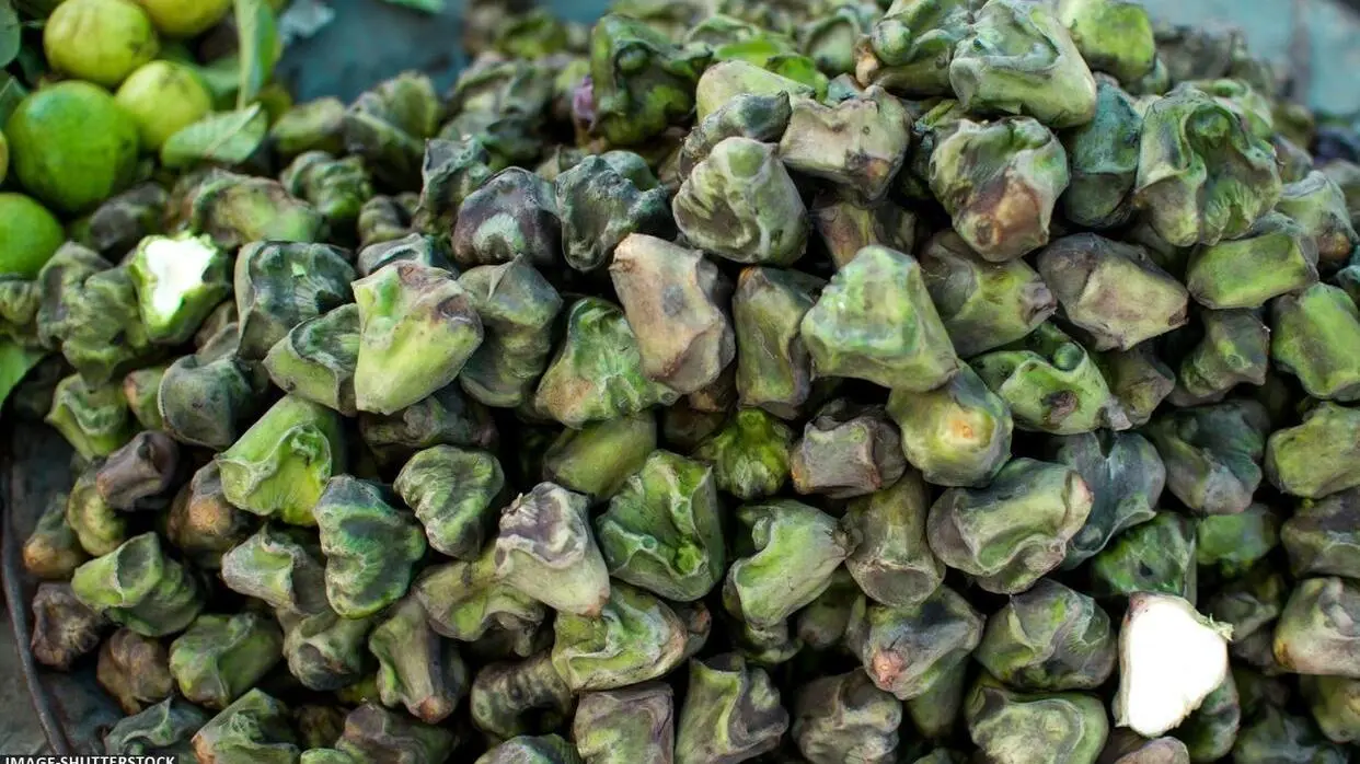 Kin Logo Ko Nahi Khana Chahiye Singhara
image- shutterstock