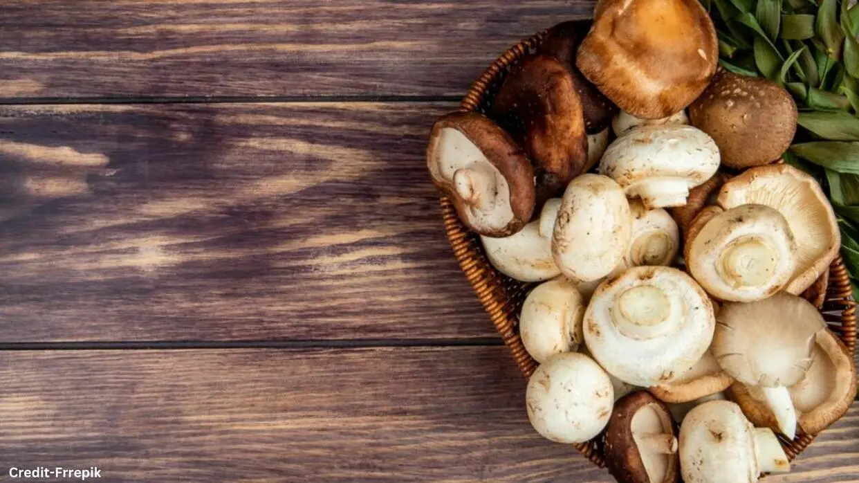 Mushroom Ke Fayde
image- freepik