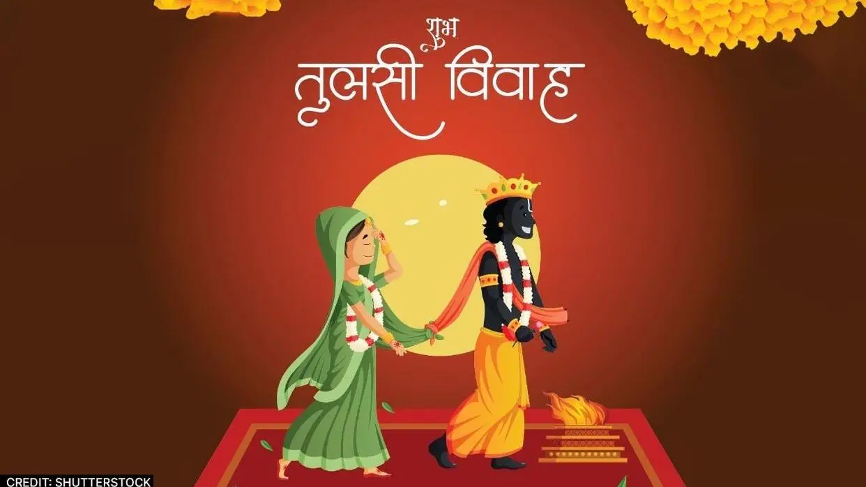 तुलसी विवाह की डेट (फोटो : Shutterstock)