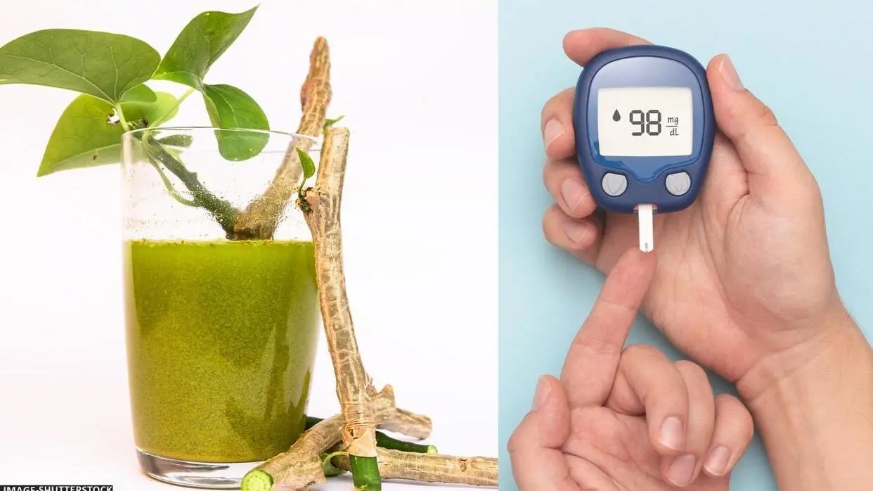 Giloy Ke Juice Ke Fayde
image- shutterstock