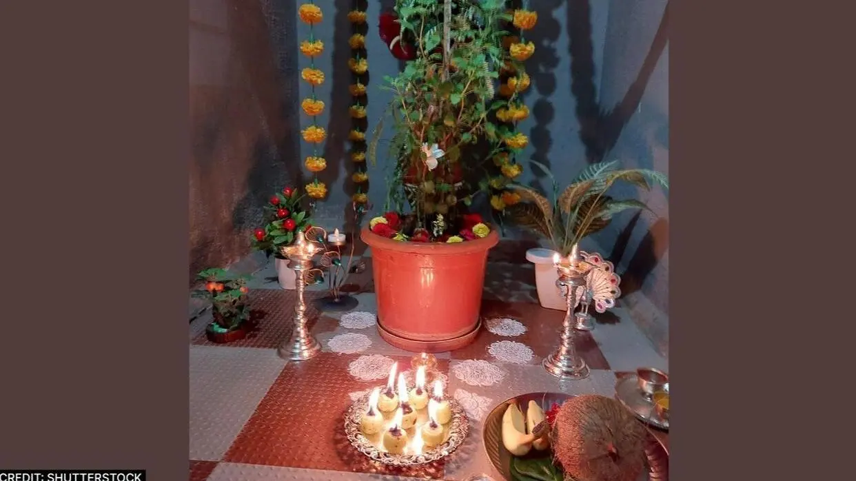 Tulsi Vivah Vidhi
image- shuttterstock