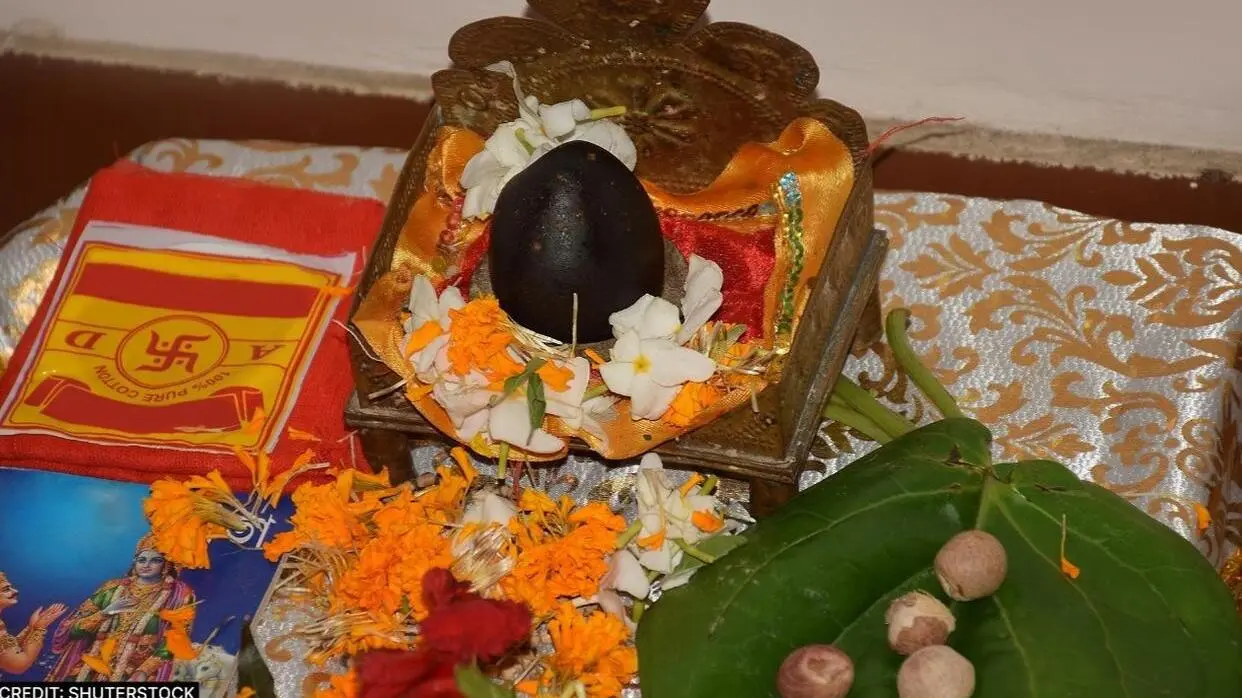 Shaligram Bhagwan Ki Puja Kyo Ki Jati Hai
image- shutterstock
