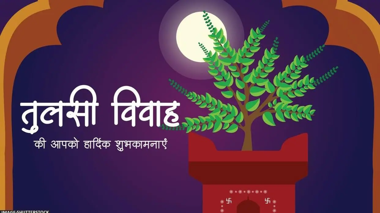 कब है तुलसी विवाह? (फोटो : Shutterstock)