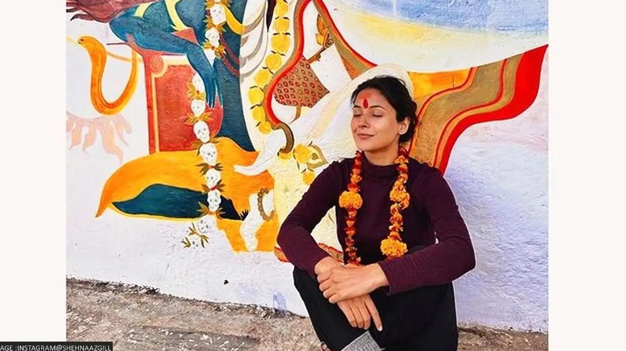 Shehnaaz Gill Pic
image- Shehnaaz Gill instagram