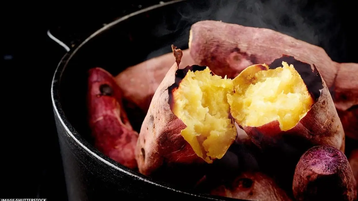 सर्दियों में शकरकंद खाने के फायदे (फोटो : Shutterstock)