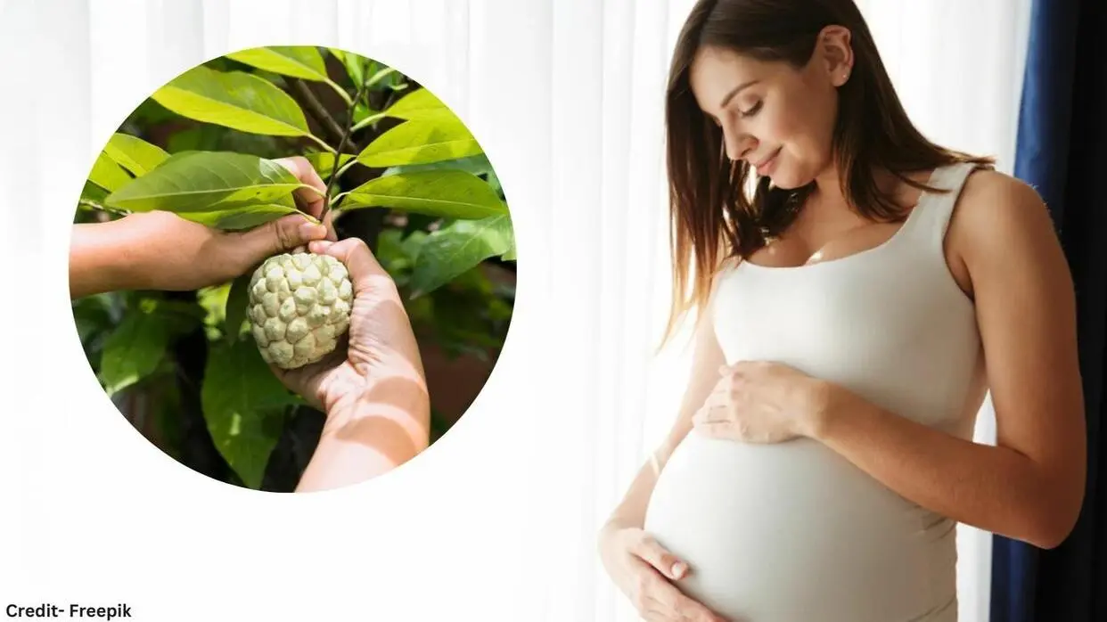 Pregnancy Me Sharifa Khane Ke Fayde
image- freepik