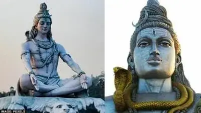 Description of the pic