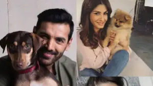 Raveena Tandon, John Abraham, Jacqueline Fernandes
