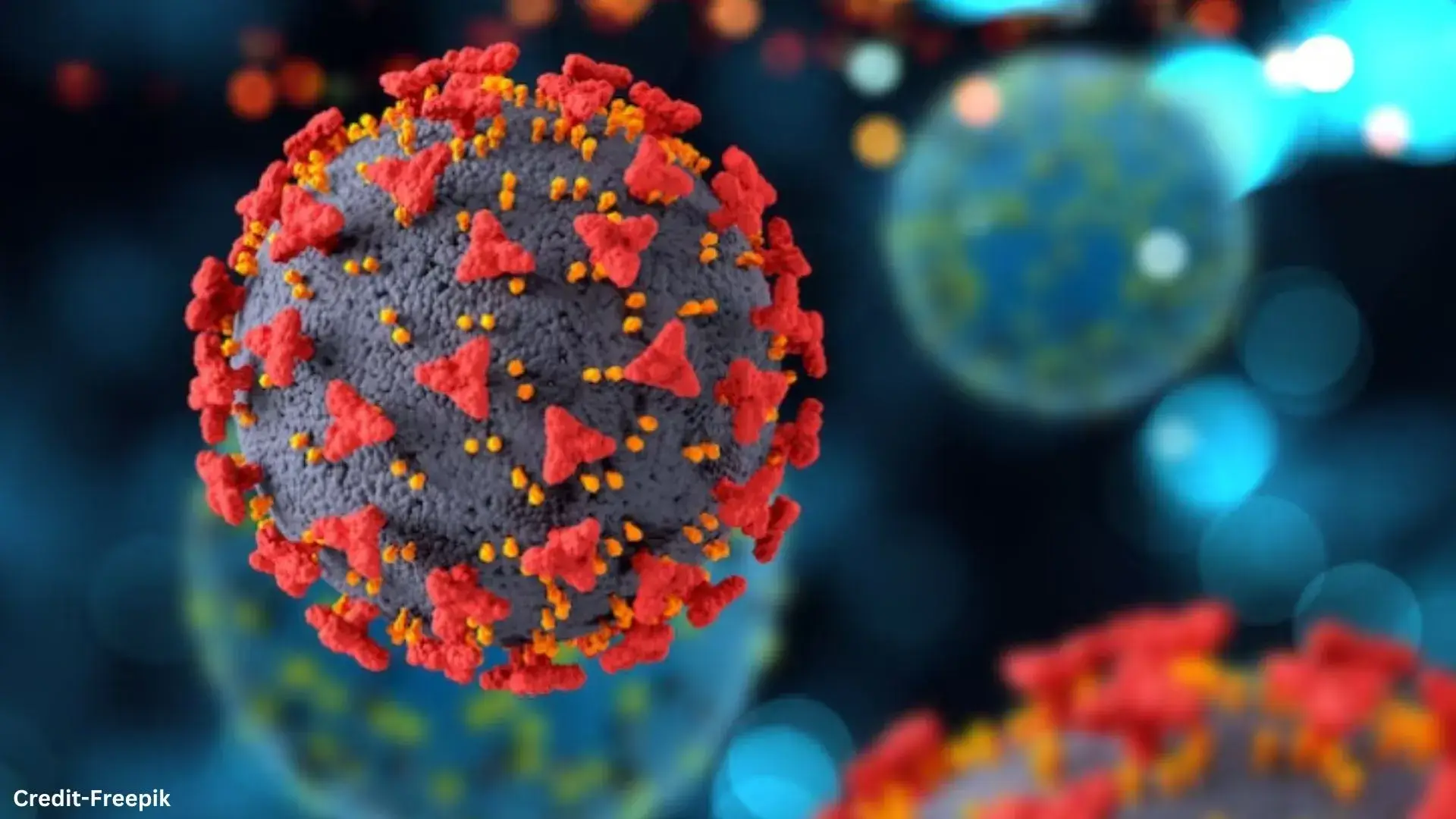 Description of the pic