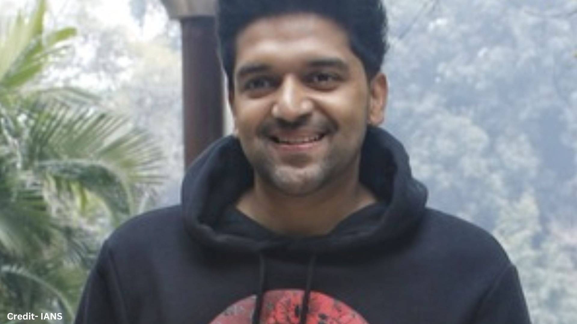 Description of the pic