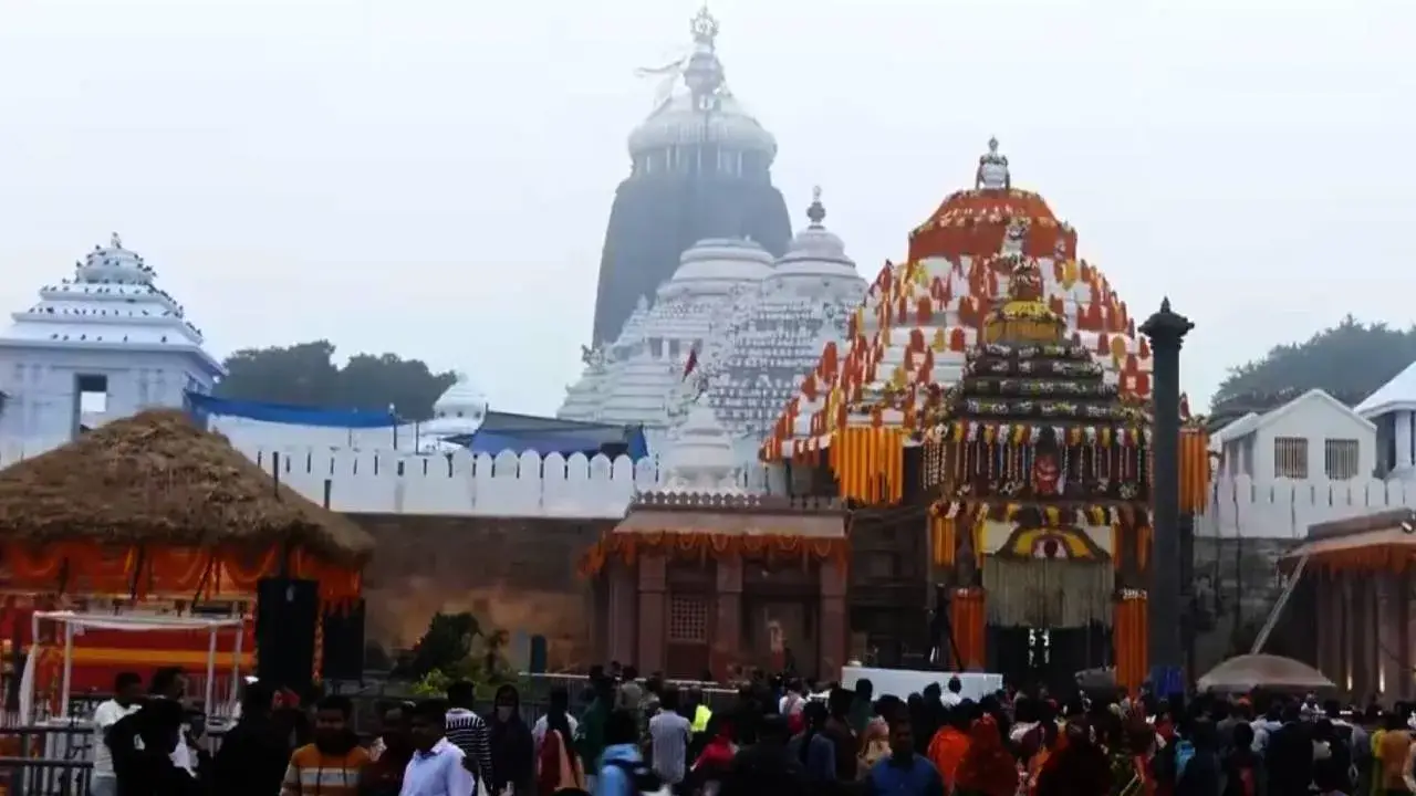 Description of the pic