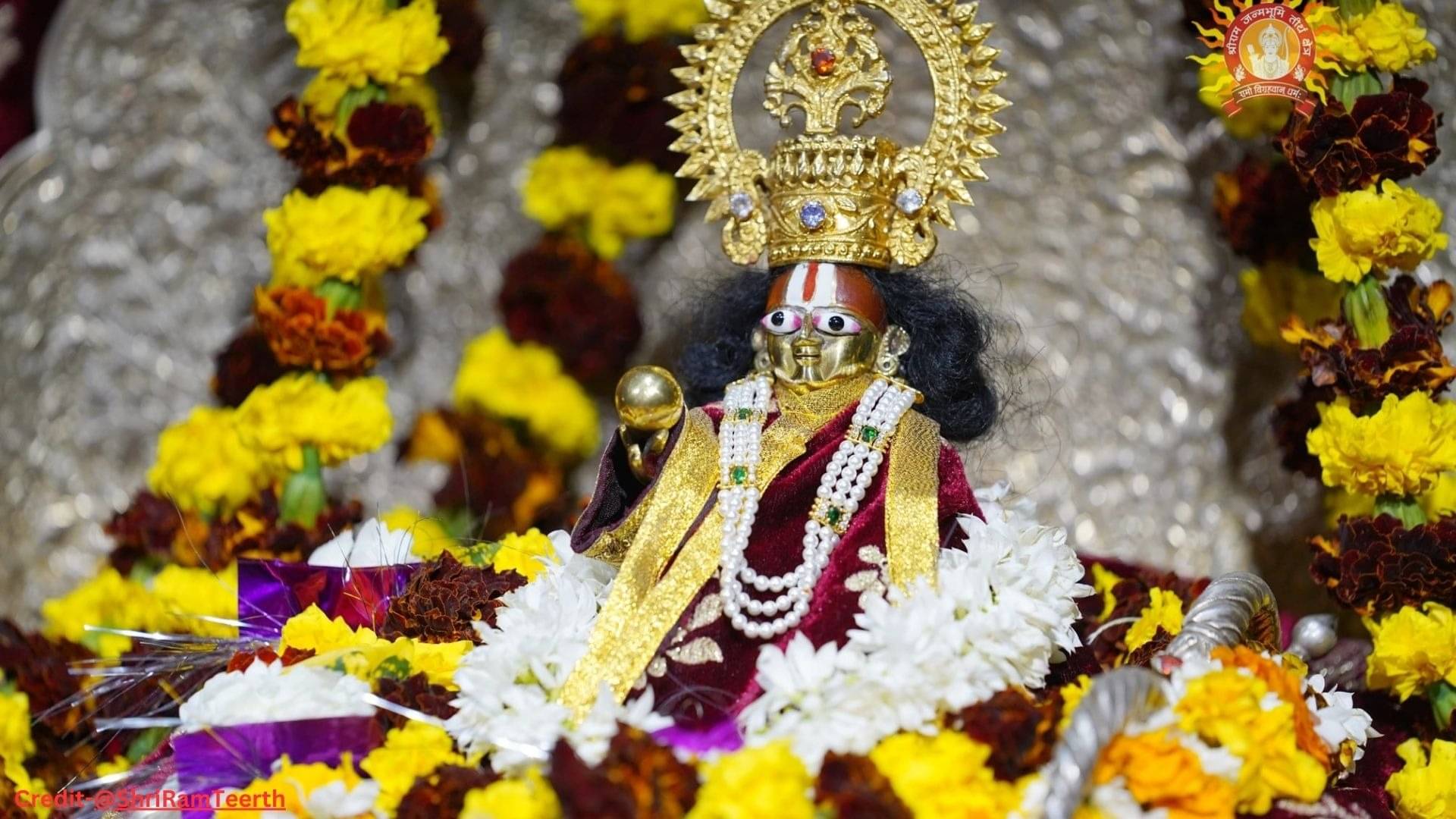 Description of the pic