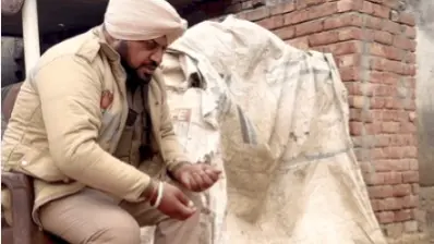 rooster punjab police