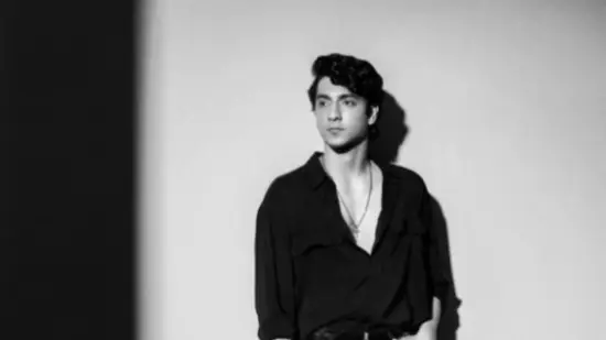 Description of the pic