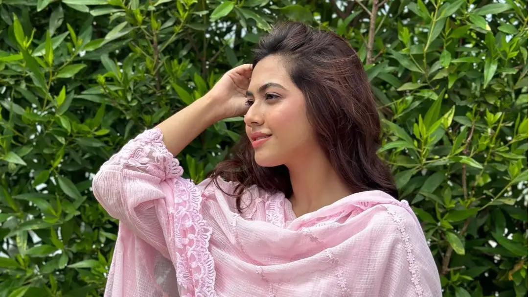 Description of the pic