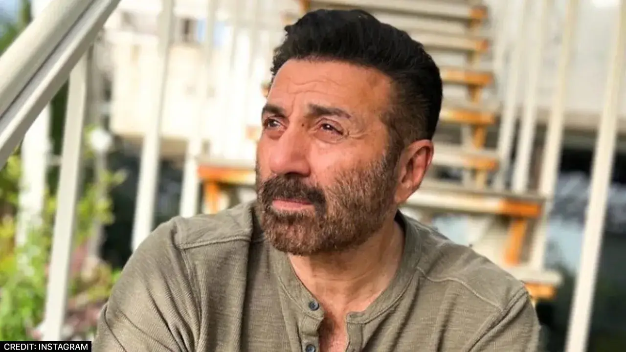 Description of the pic