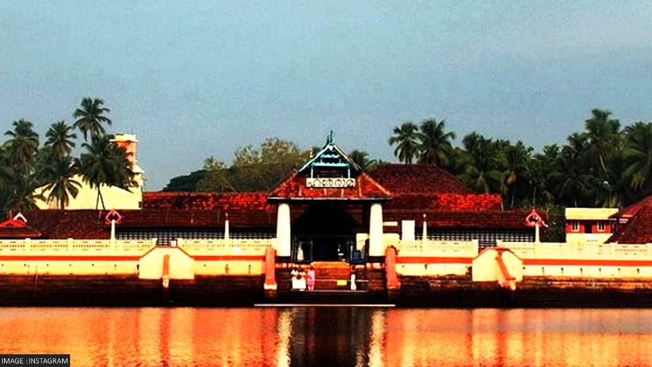 Description of the pic