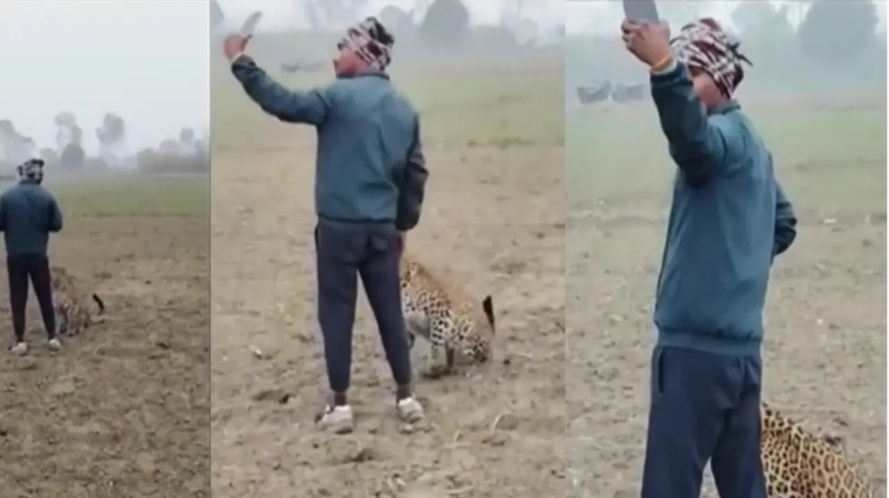 man clicks selfie with leopard