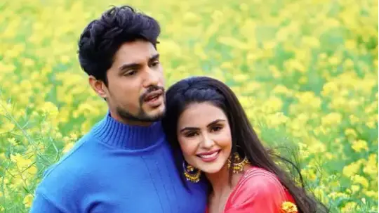 Is Ankit Gupta In A Situationship With Priyanka Chahar Chaudhary? Actor Reacts Priyanka Chahar Choudhary and Ankit Gupta