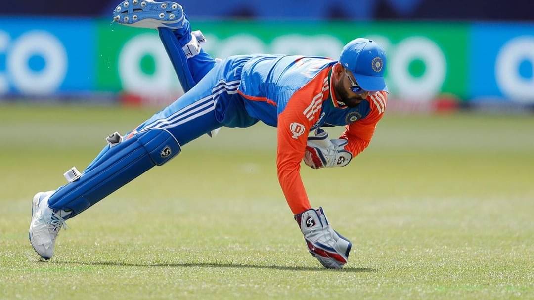 Description of the pic