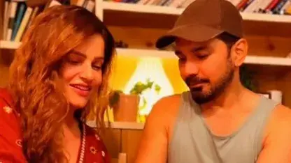 Description of the pic