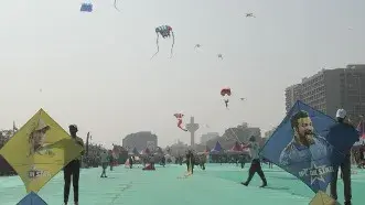 मुंबई में पतंग के मांझे से घायल 60 से अधिक पक्षियों को बचाया गया Over 60 birds injured by kite strings