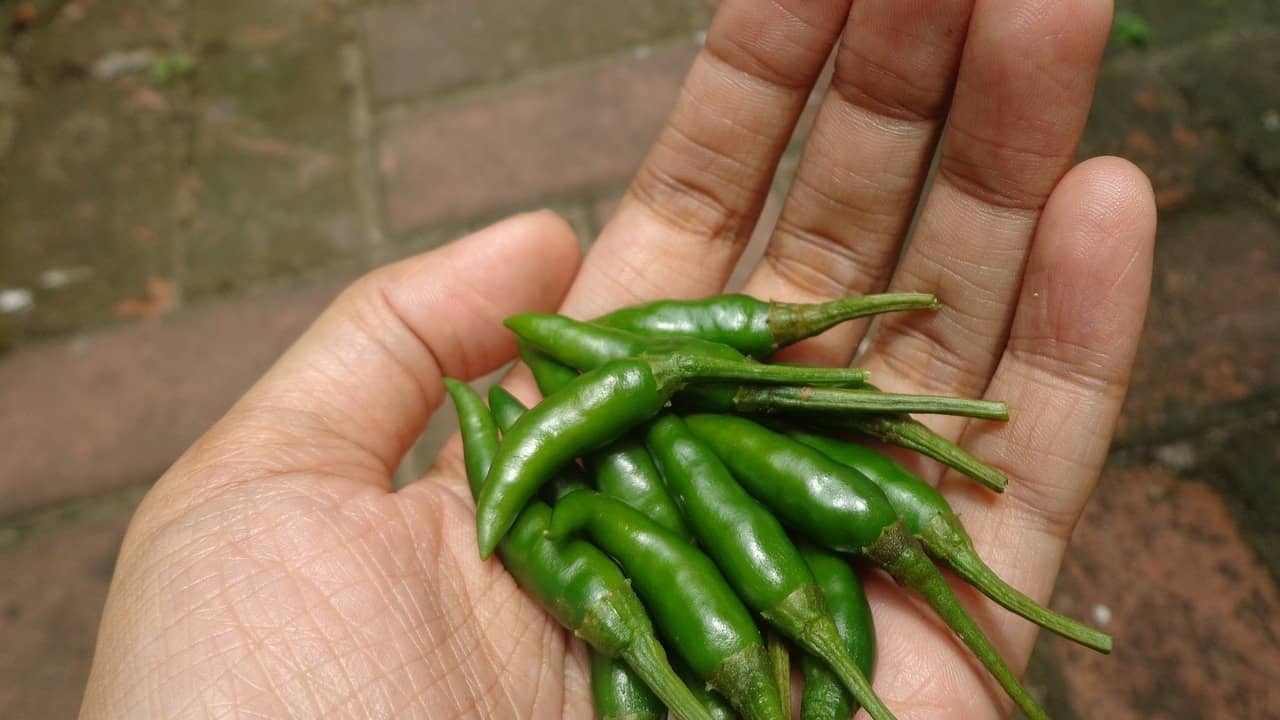 Description of the pic