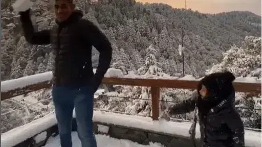 Description of the pic