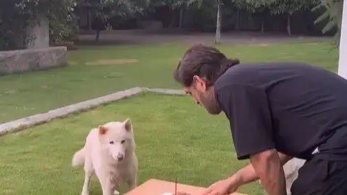 Description of the pic