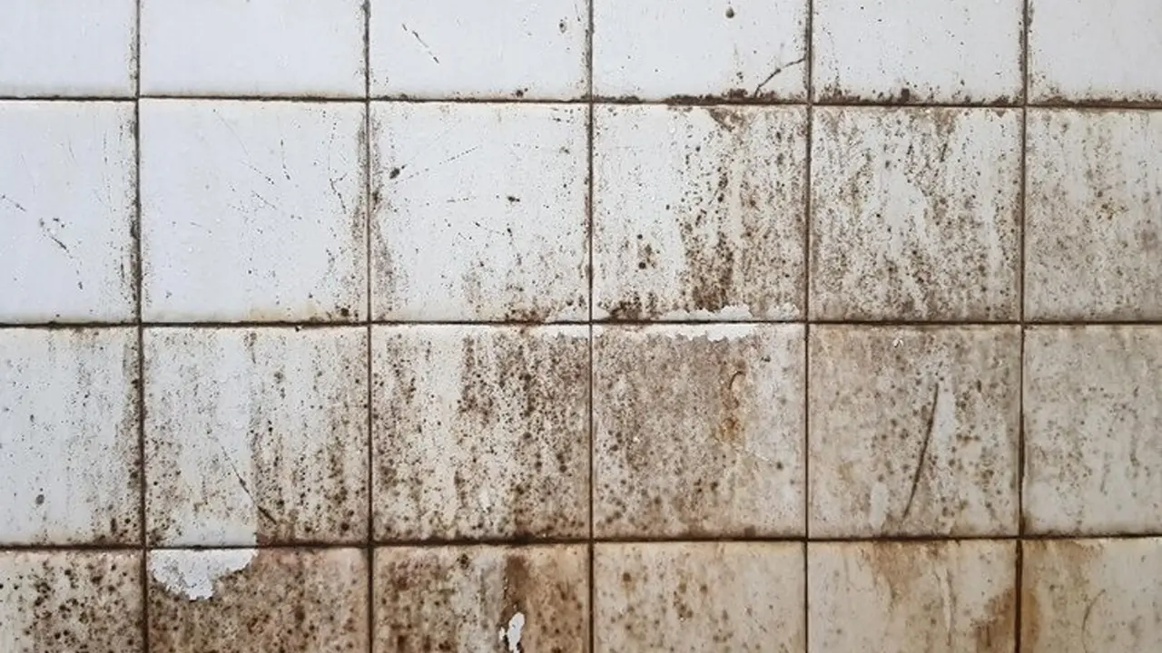 dirty tile