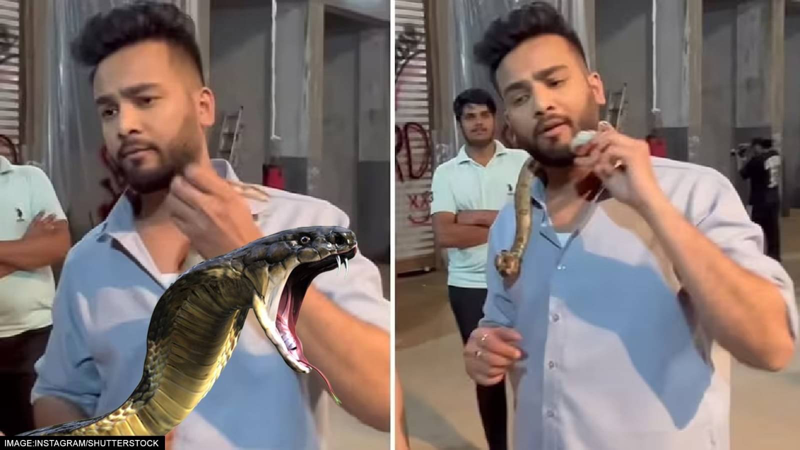 Bailed in Snake Venom at Rave Party Case, YouTuber Elvish Yadav to ...