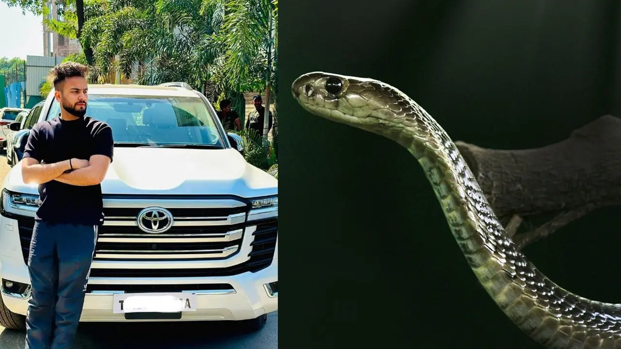 रेव पार्टी में कोबरा के जहर के लिए 'खास तकनीक' से कॉल करता था Elvish Yadav